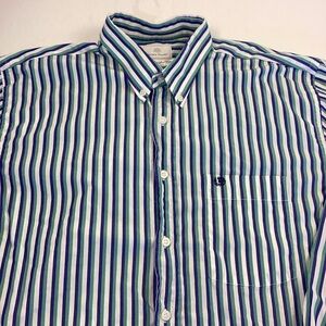 James Smart Men's Striped Button-Down Shirt in Blue and Green